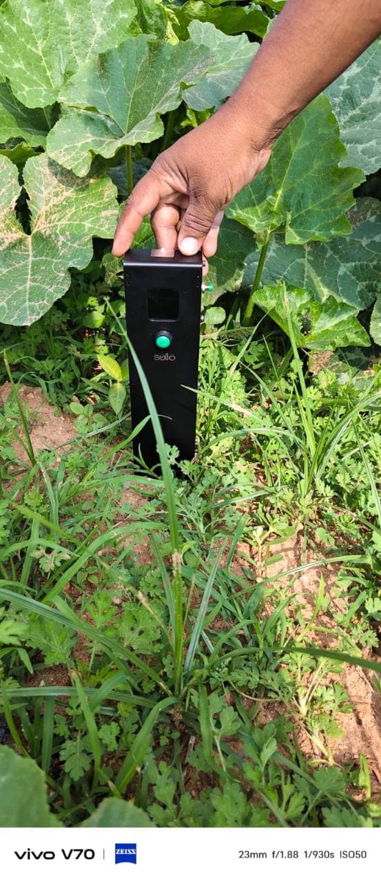 Soilo Essence inserted into soil beside broad-leaved crops