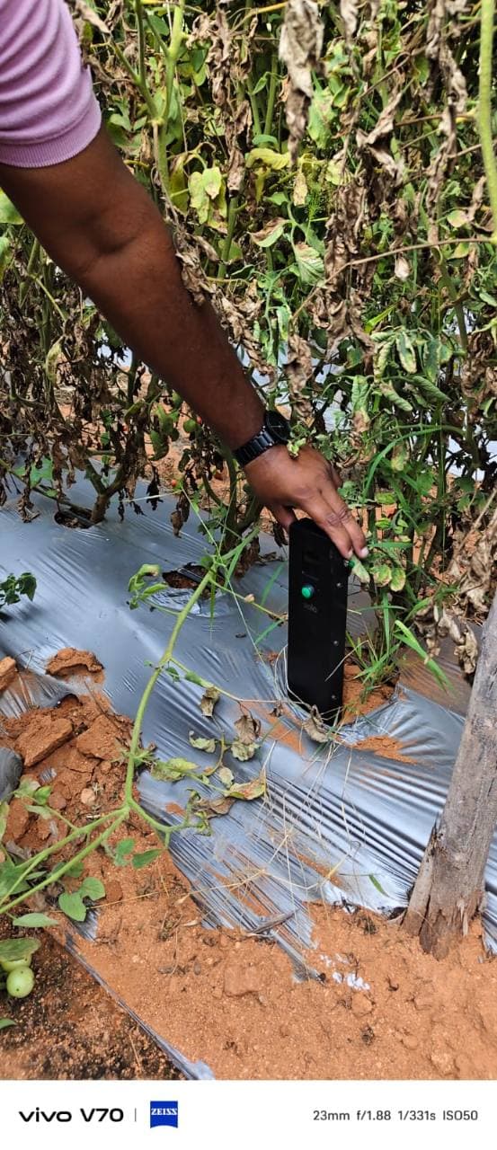 Soilo Essence measuring soil beside mulched crop rows