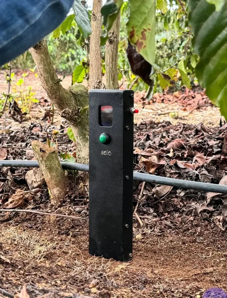 Soilo Essence device in the field under a coffee plant