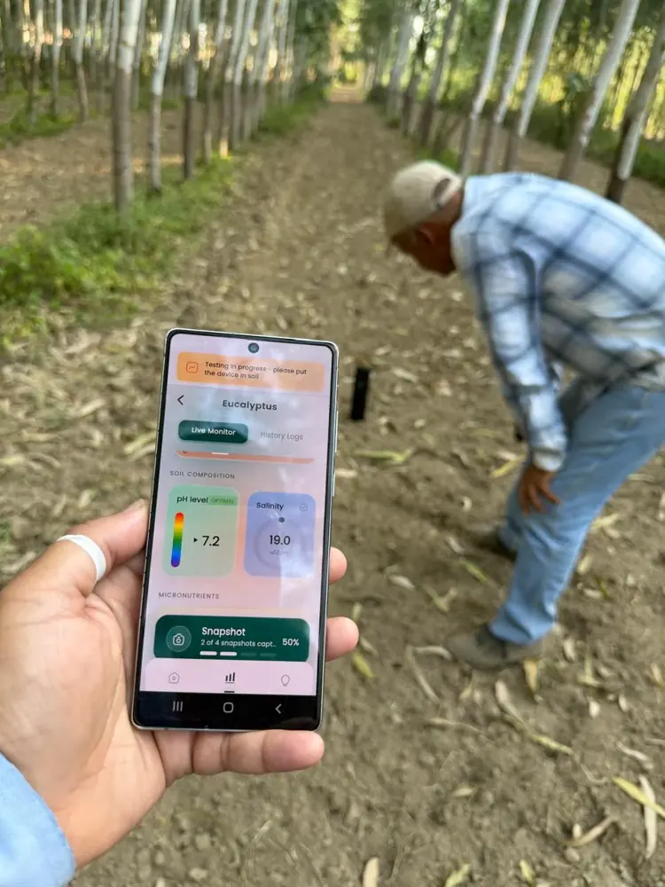 Live soil readings on the Soilo app in a eucalyptus plantation