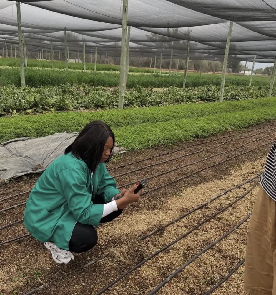 Reading Soilo Essence results on the mobile app in a nursery