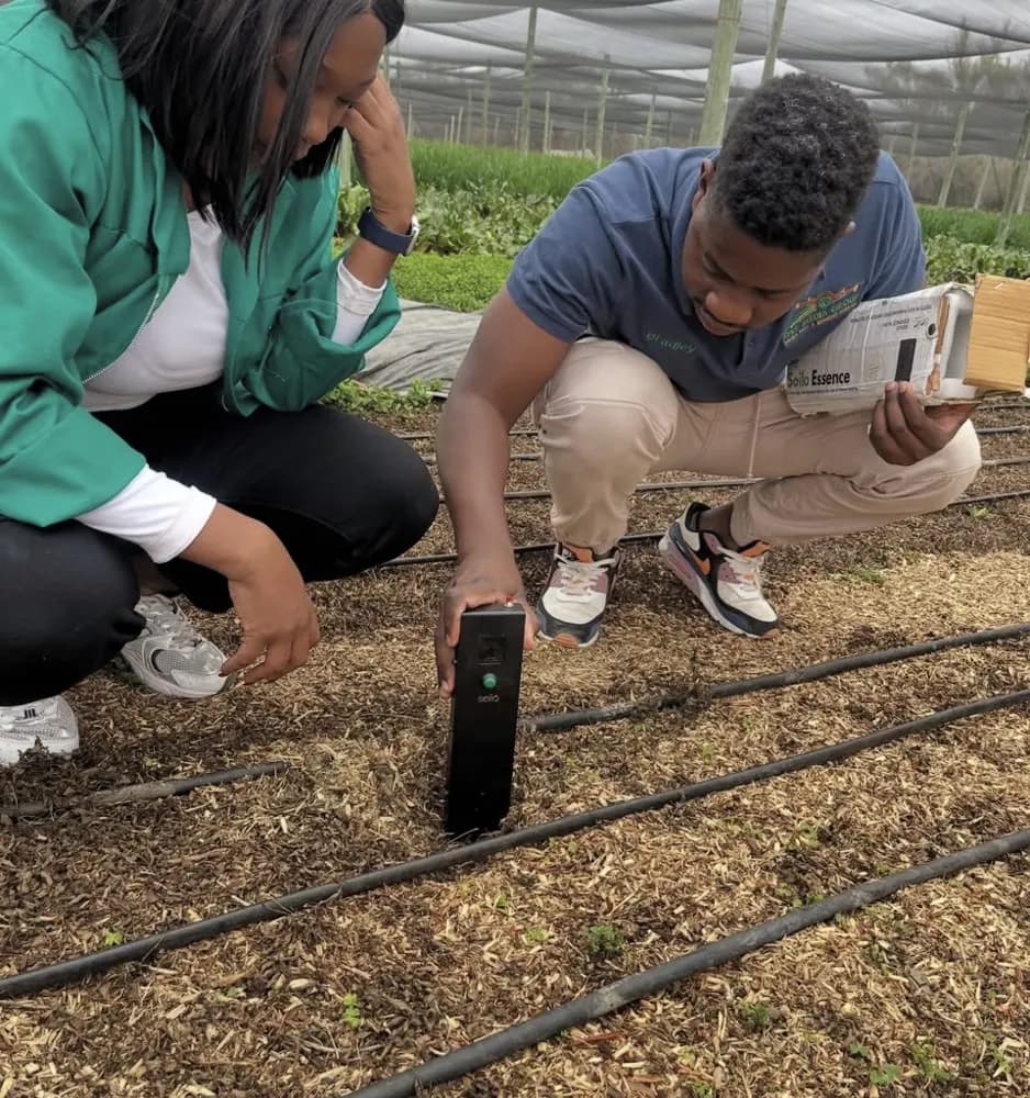 Soilo Essence being tested in a shade-net nursery in Namibia